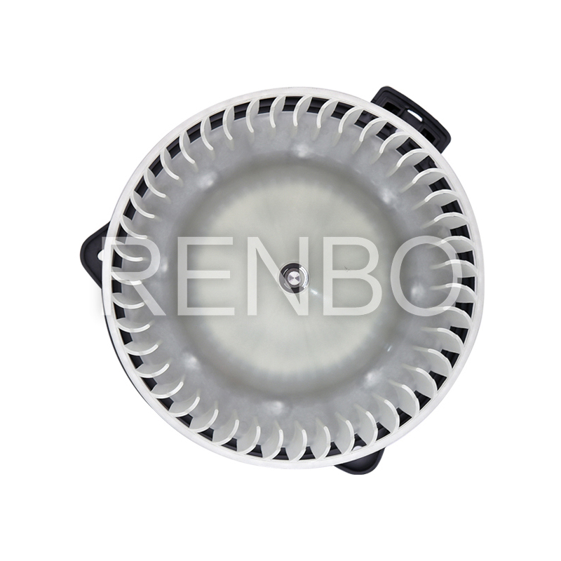 B1002