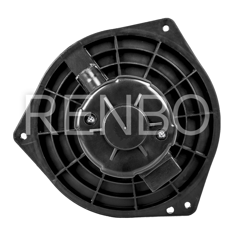 N009